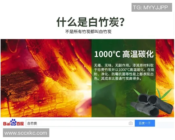 白帽黑客与伐木者的较量：技术与自然的对抗与和谐之路